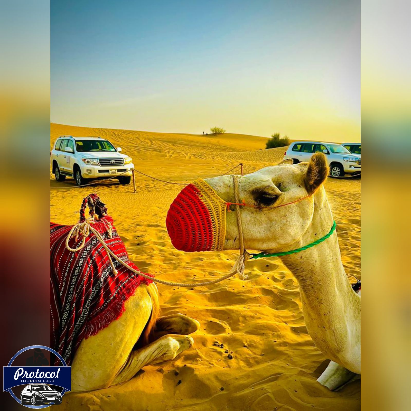 WhatsApp Image 2022 09 16 at 7.29.19 PM 1 1