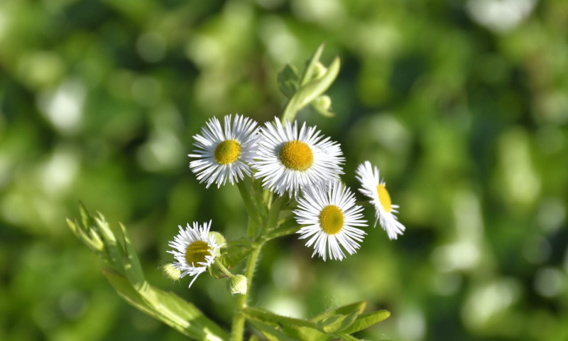 WhatsApp Image 2022 09 19 at 2.59.16 PM