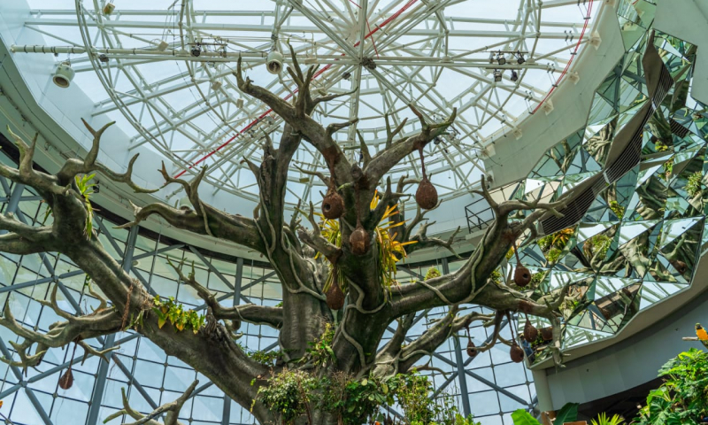 WhatsApp Image 2022 09 19 at 2.59.19 PM